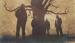 Insomnium