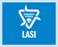 Lasi