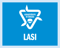 Kierrtys: Lasi