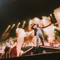 Elastinen fiiliksissä. Kuva: Jon Norppa