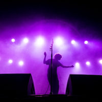 The 1975 Tähtiteltassa. Kuva: Kalle Kervinen